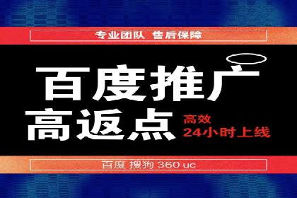 互联网公司SEM代运营成功案例剖析